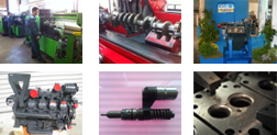 photos